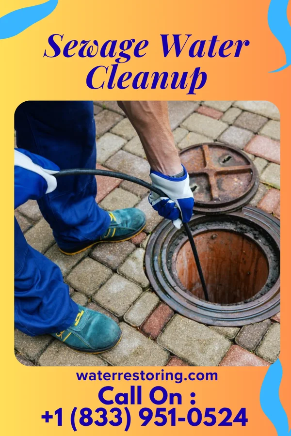Sewage Water Cleanup in Homestead, FL